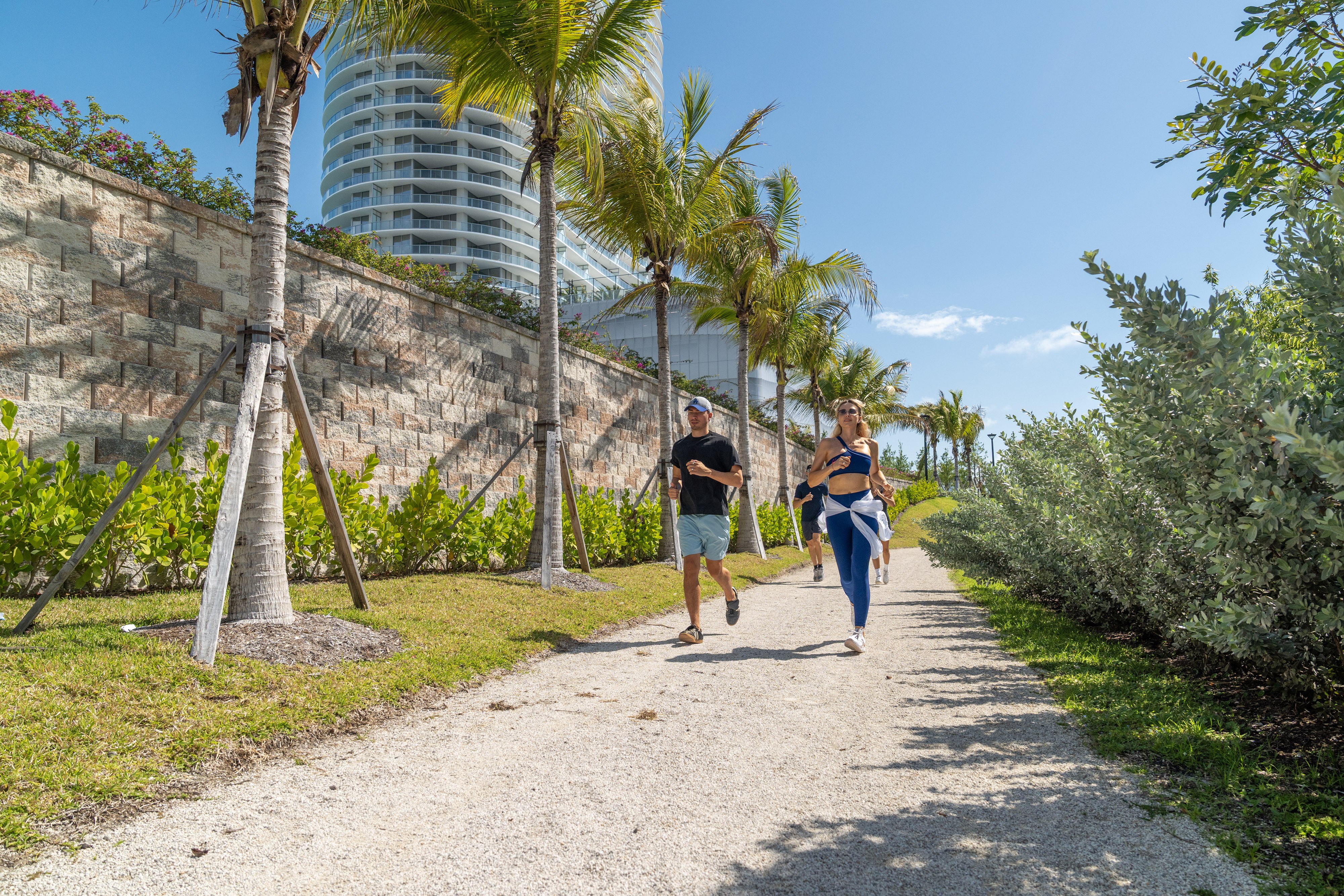 Two people walking down a path with palm trees on either side.